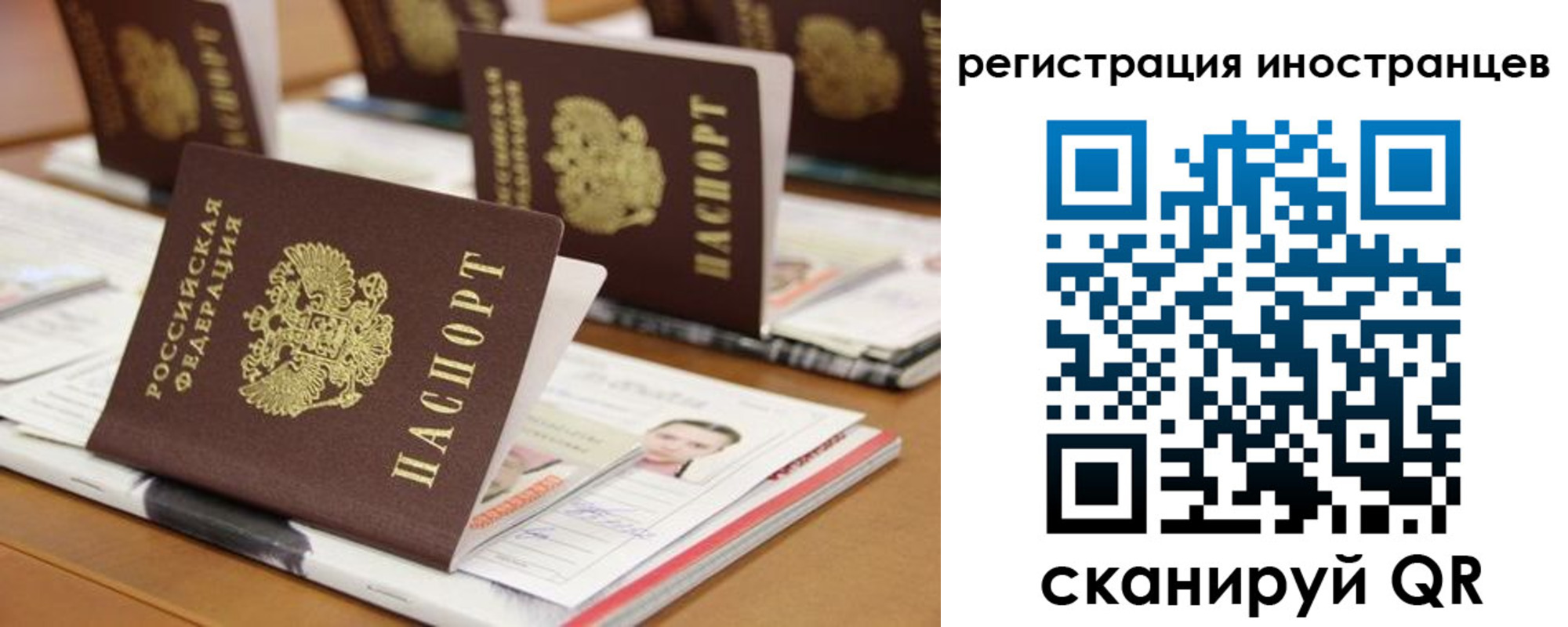 пропишу в квартире в Дорогобуже