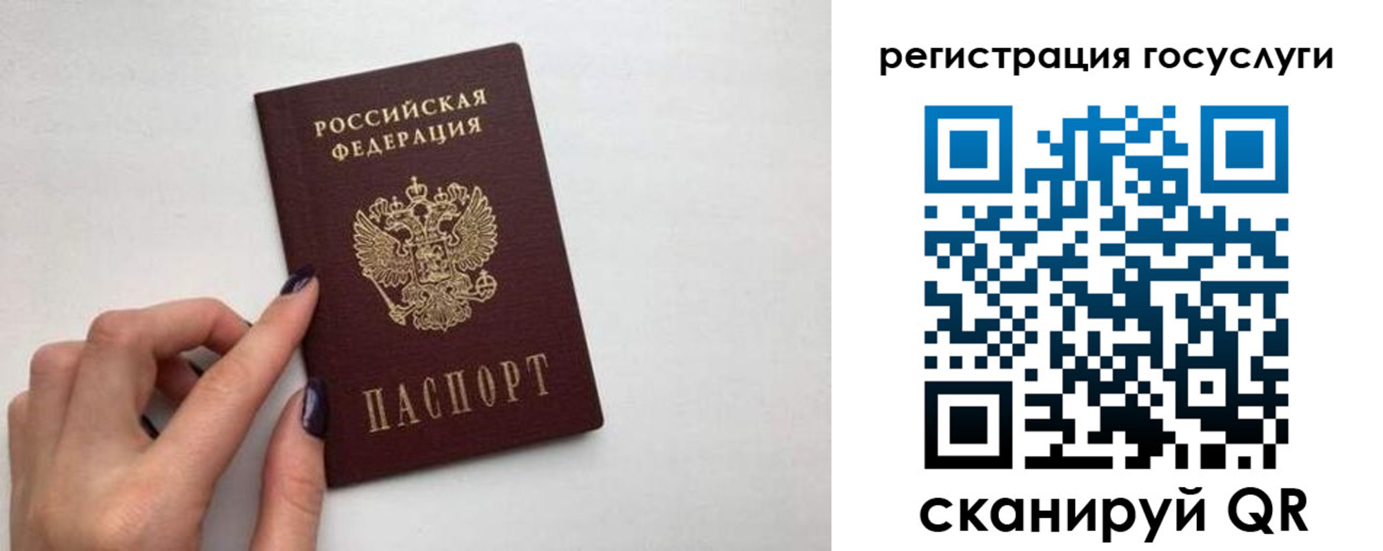 временная регистрация гарантия в Дорогобуже